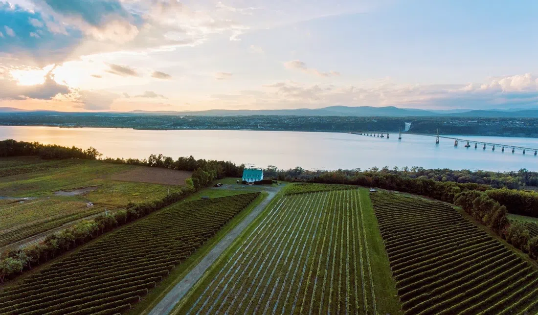 Vignoble Sainte-Pétronille, Quebec