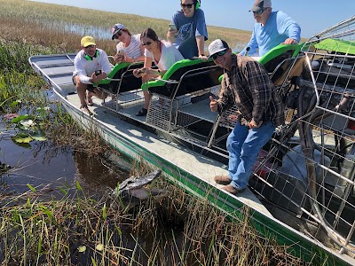 Airboat Tour in the Everglades