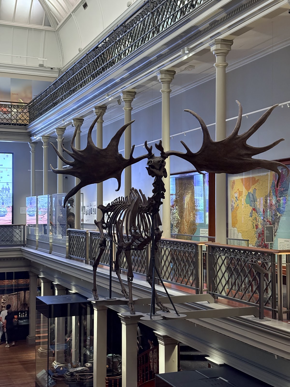 Australian Museum — photo 4