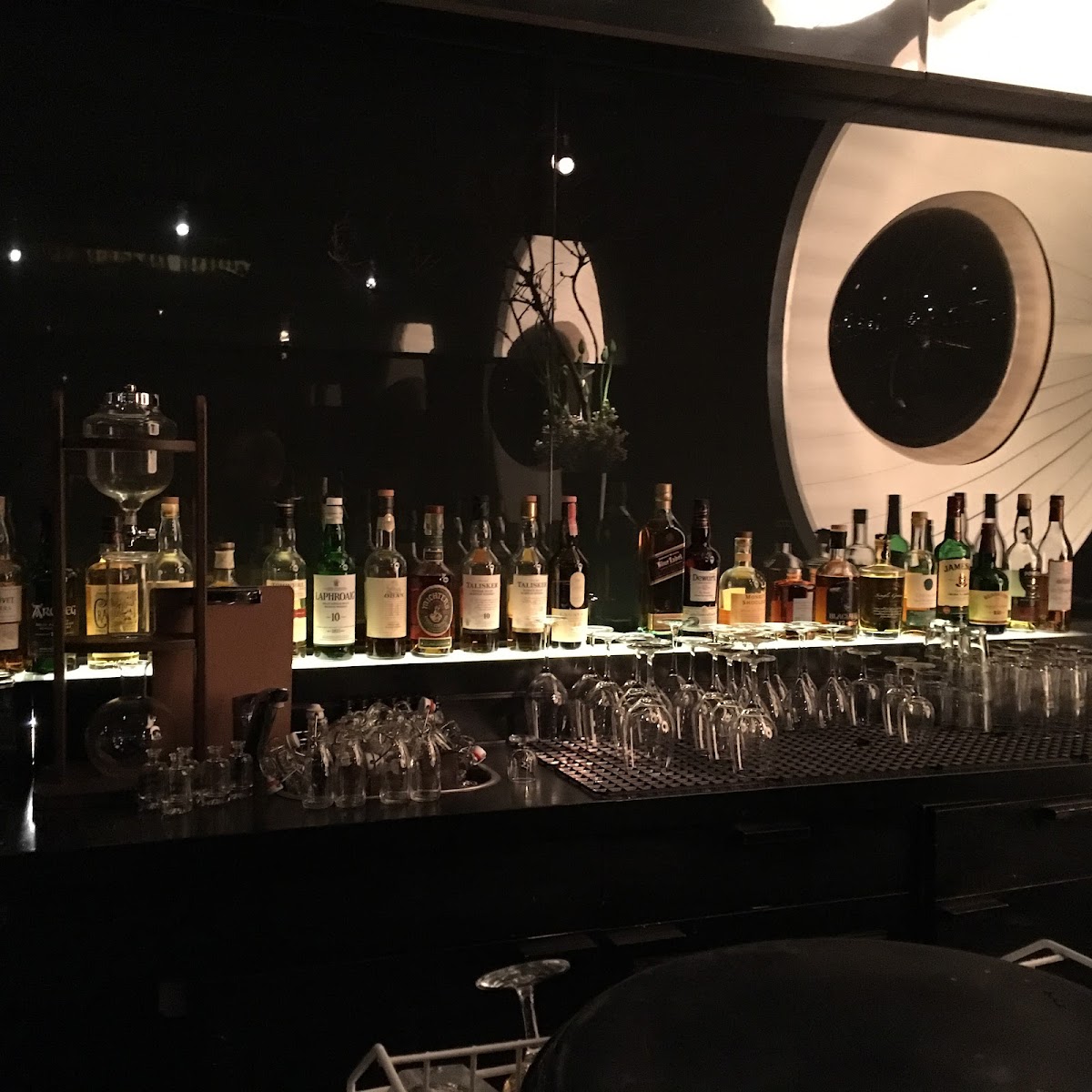 Bar Tausend — photo 6