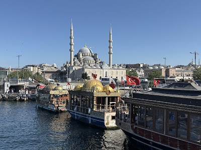 Bosphorus Ferry Crossing