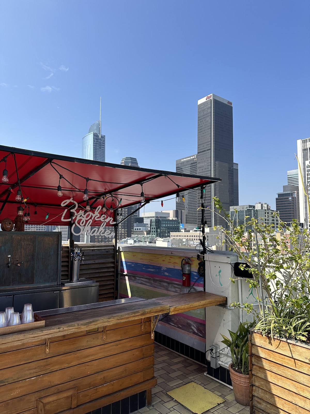 Broken Shaker — photo 5