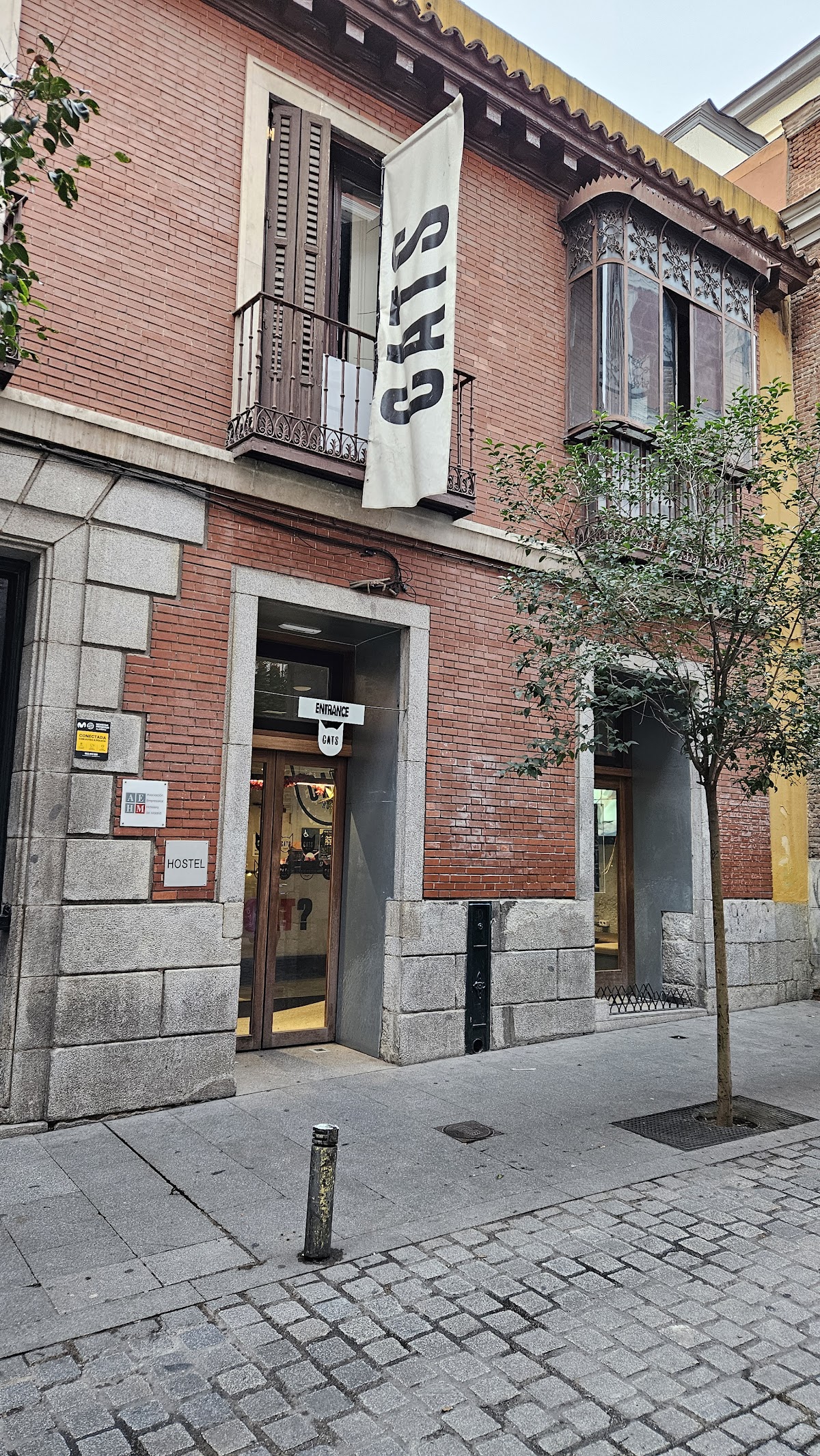 Cats Hostel Madrid Sol — photo 4