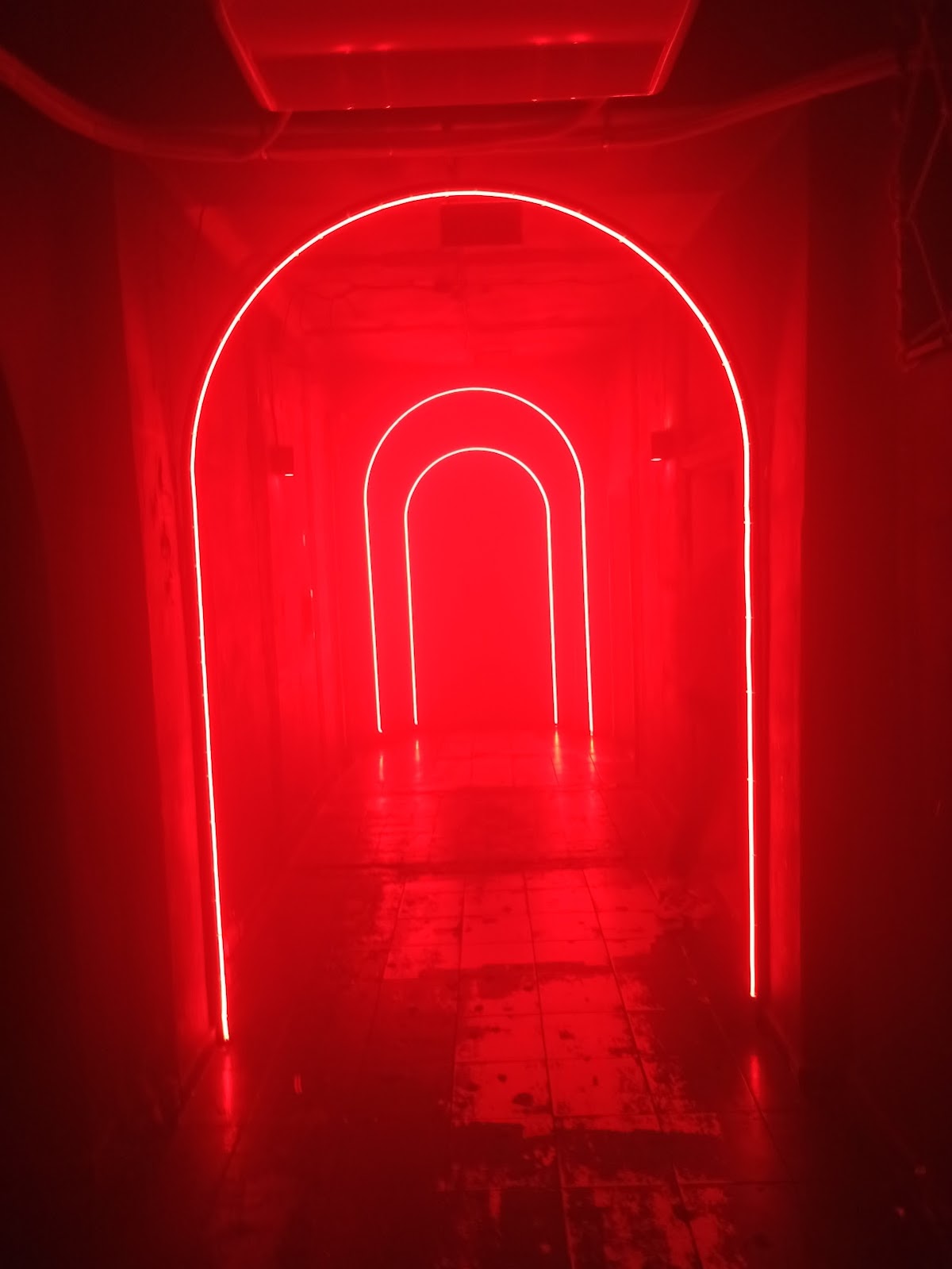 Ciało — photo 2