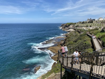 Coogee to Bondi Coastal Walk