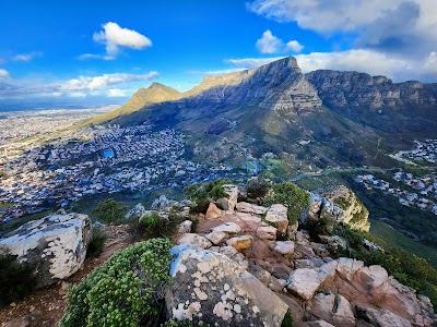 Hike Lion's Head at Sunrise