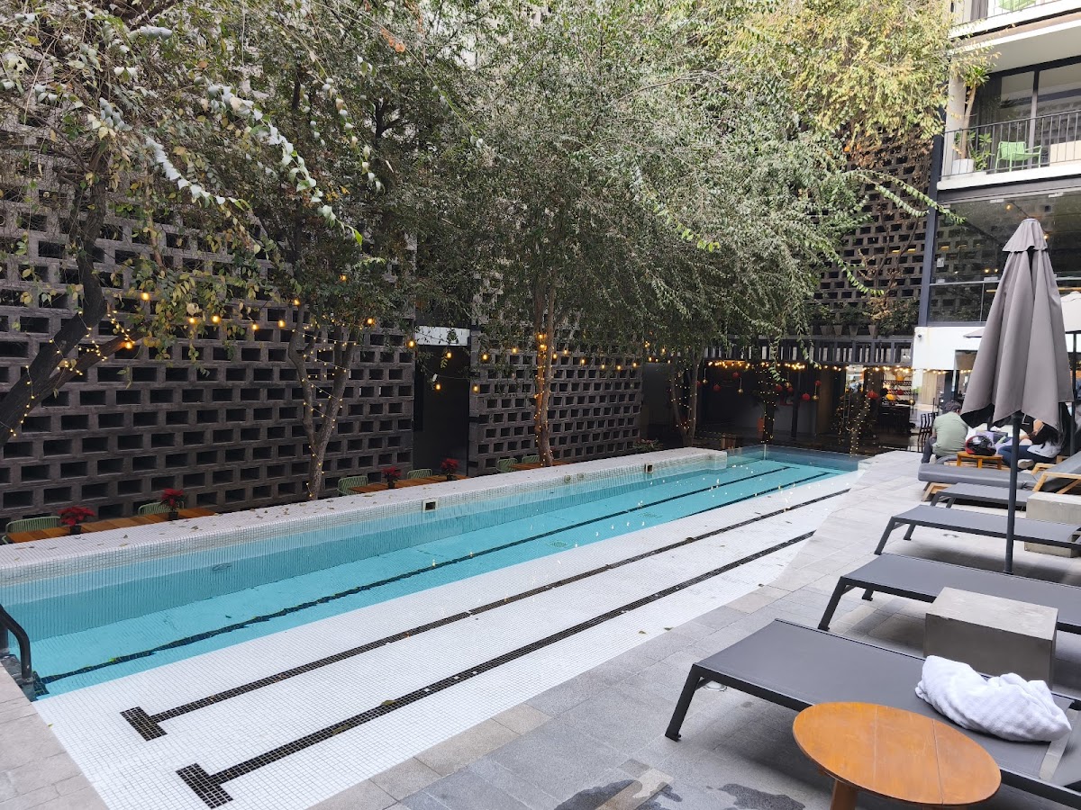 Hotel Carlota — photo 2