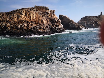 Islas Palomino