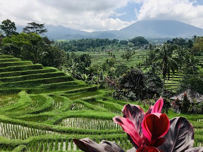 Jatiluwih Rice Terraces
