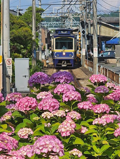 Kamakura