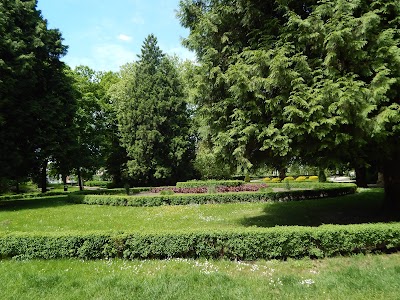 Krzyki