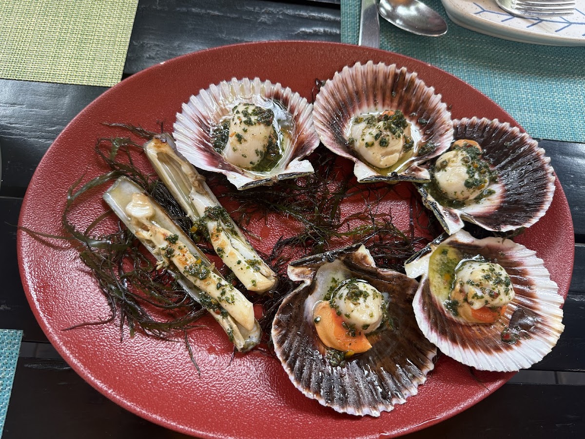 La Mar — photo 2