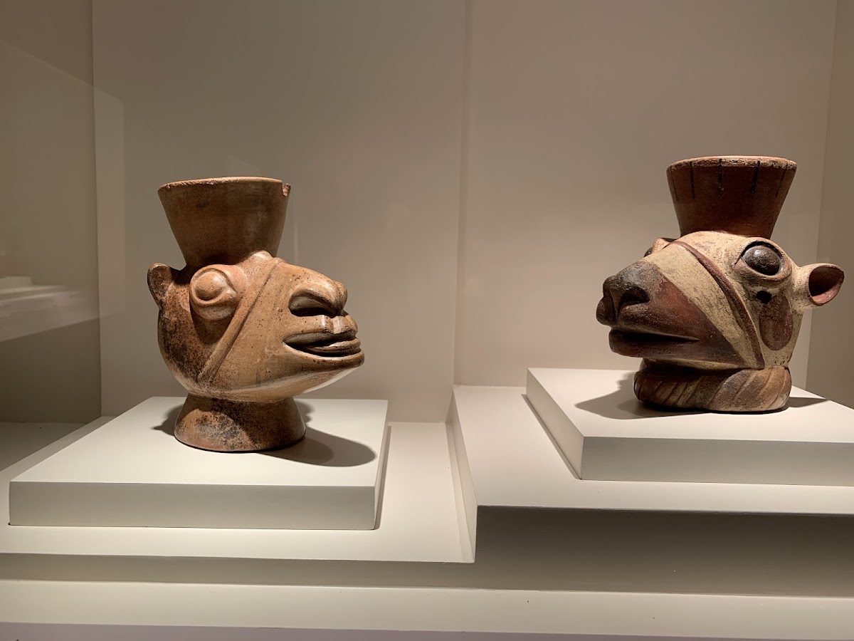 Museo de Arte Precolombino (MAP) — photo 2