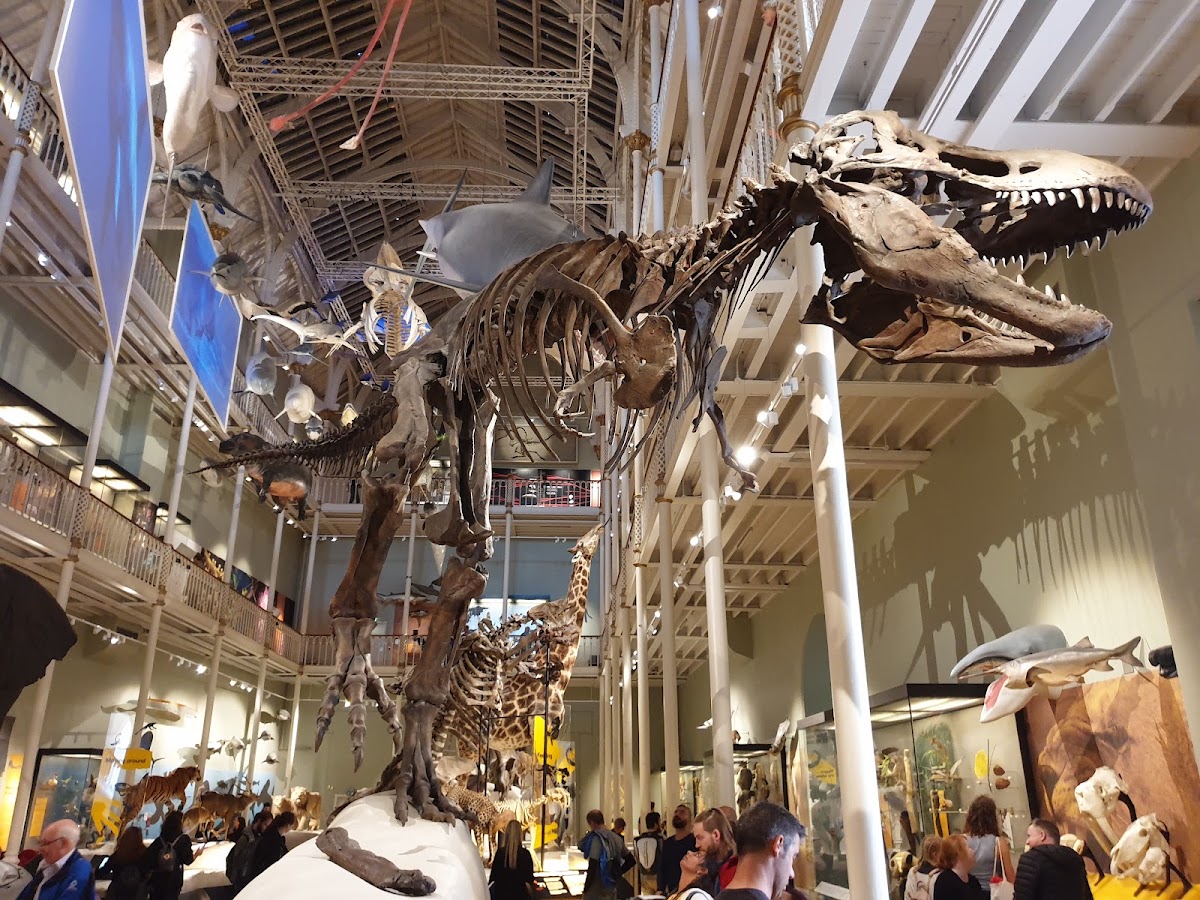 National Museum of Scotland — photo 2