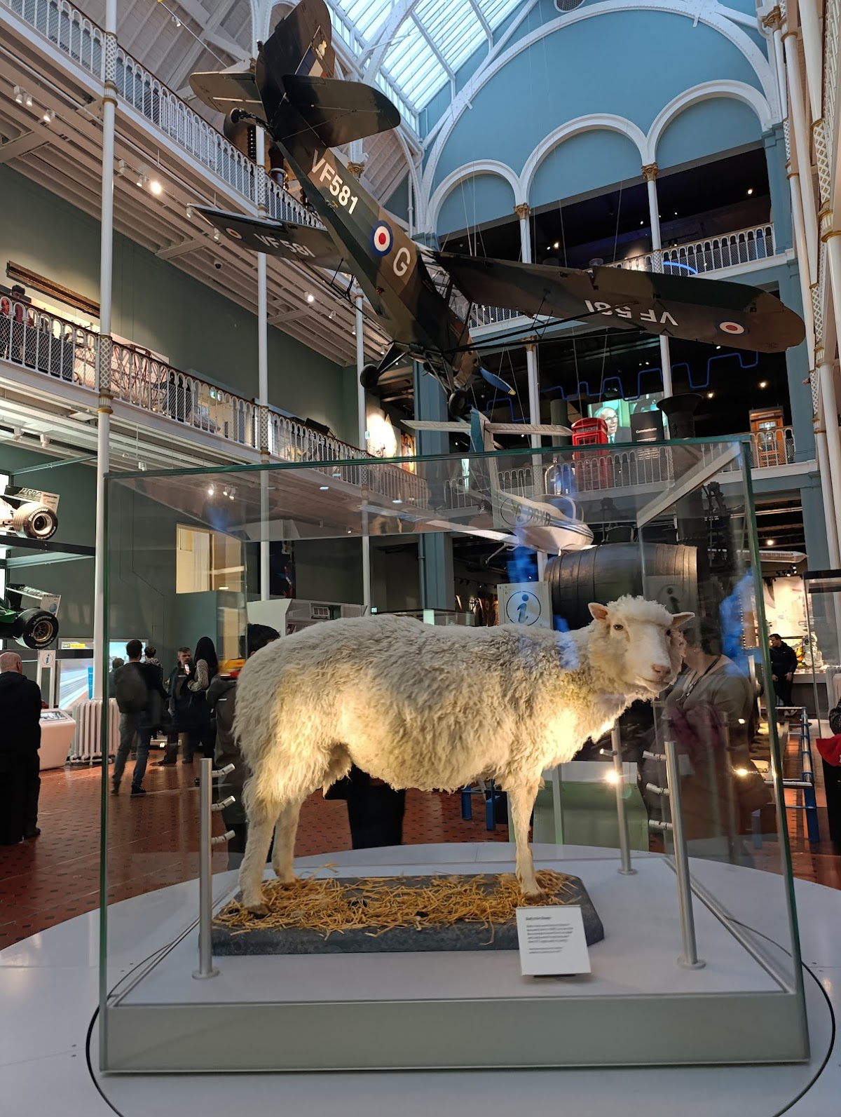 National Museum of Scotland — photo 3