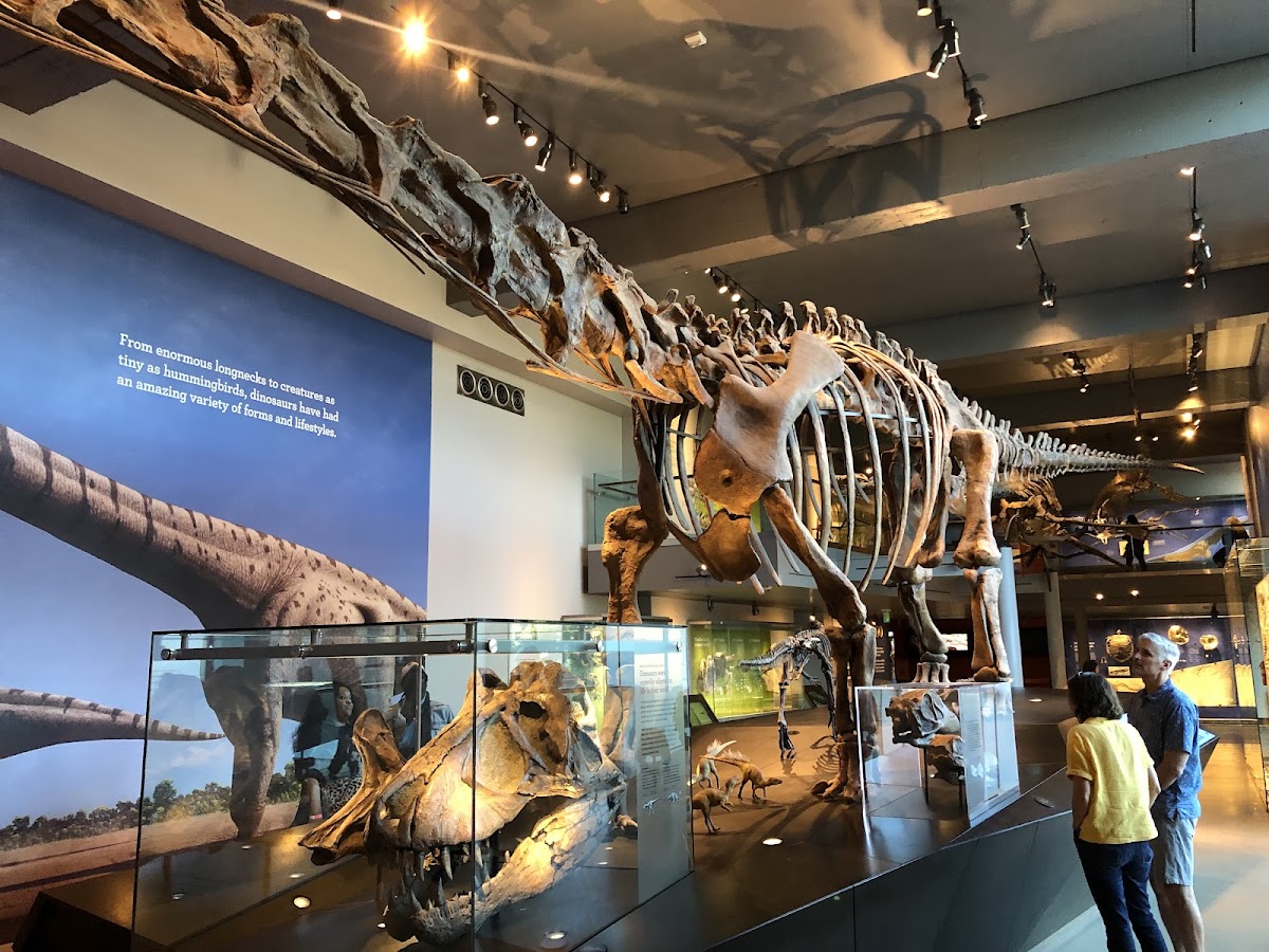 Natural History Museum — photo 2