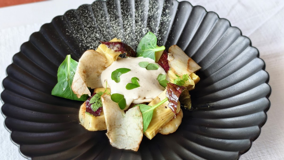 Salsify at the Roundhouse — photo 2