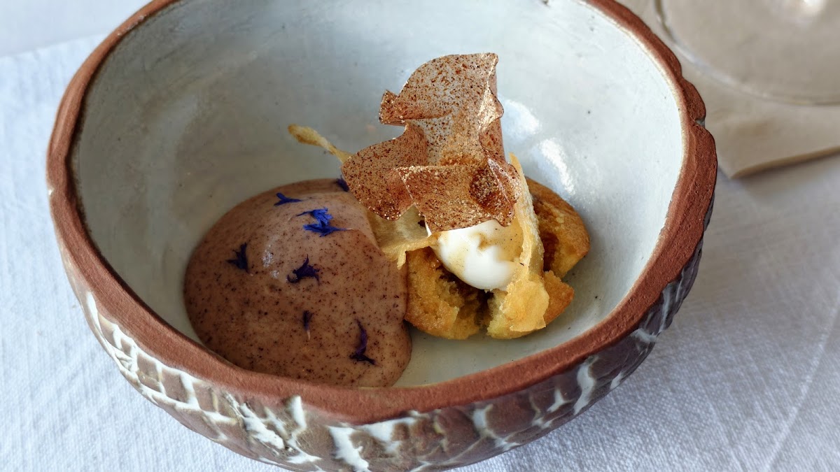 Salsify at the Roundhouse — photo 3