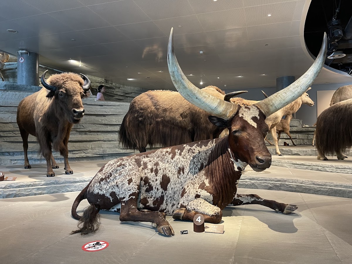 Shanghai Natural History Museum — photo 4