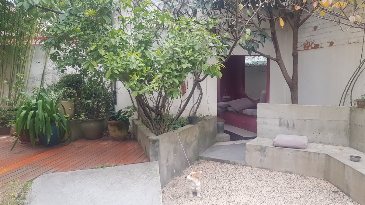 Shanghai Rock & Wood International Youth Hostel — photo 2