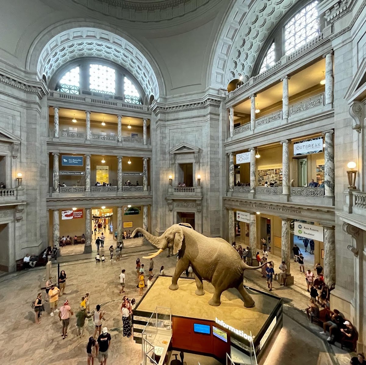 Smithsonian National Museum of Natural History, Washington