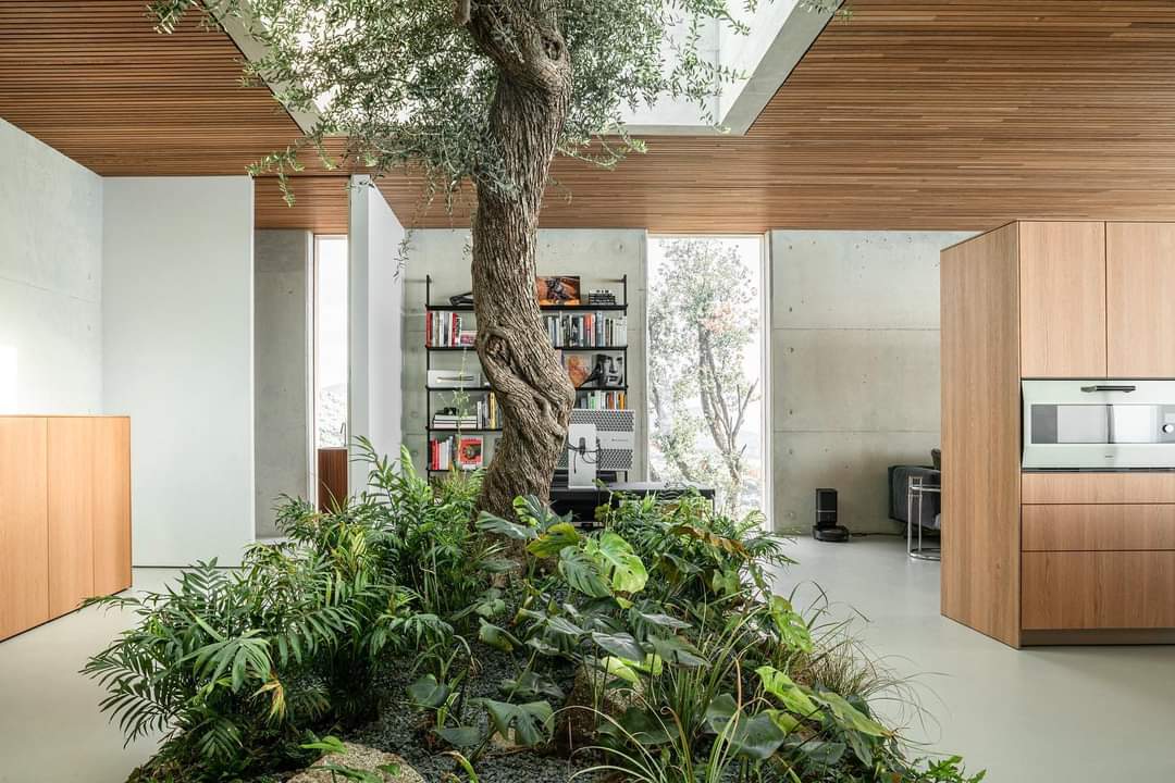 Stahl House (Case Study House No. 22), Los Angeles