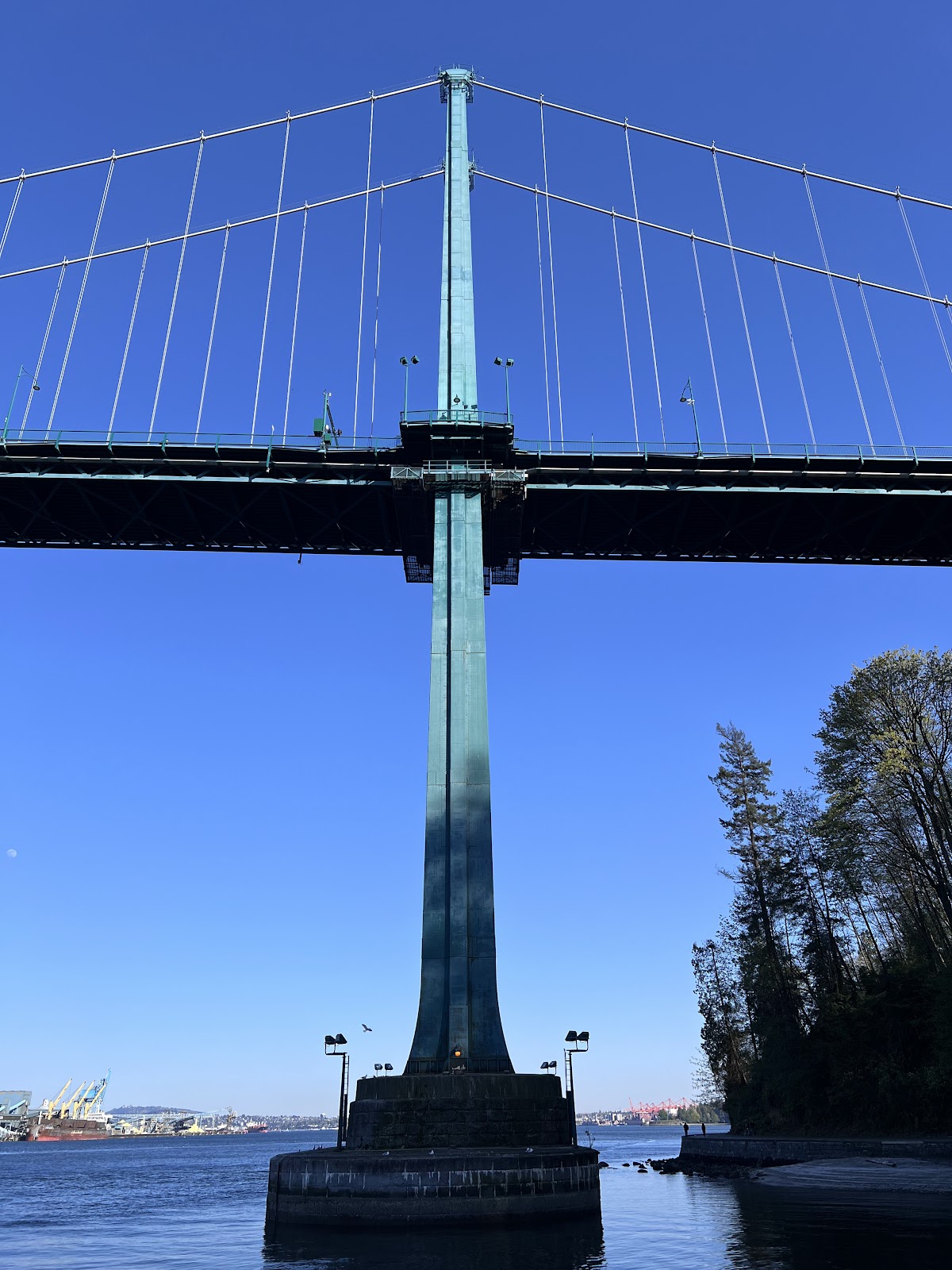 Stanley Park Seawall — photo 4