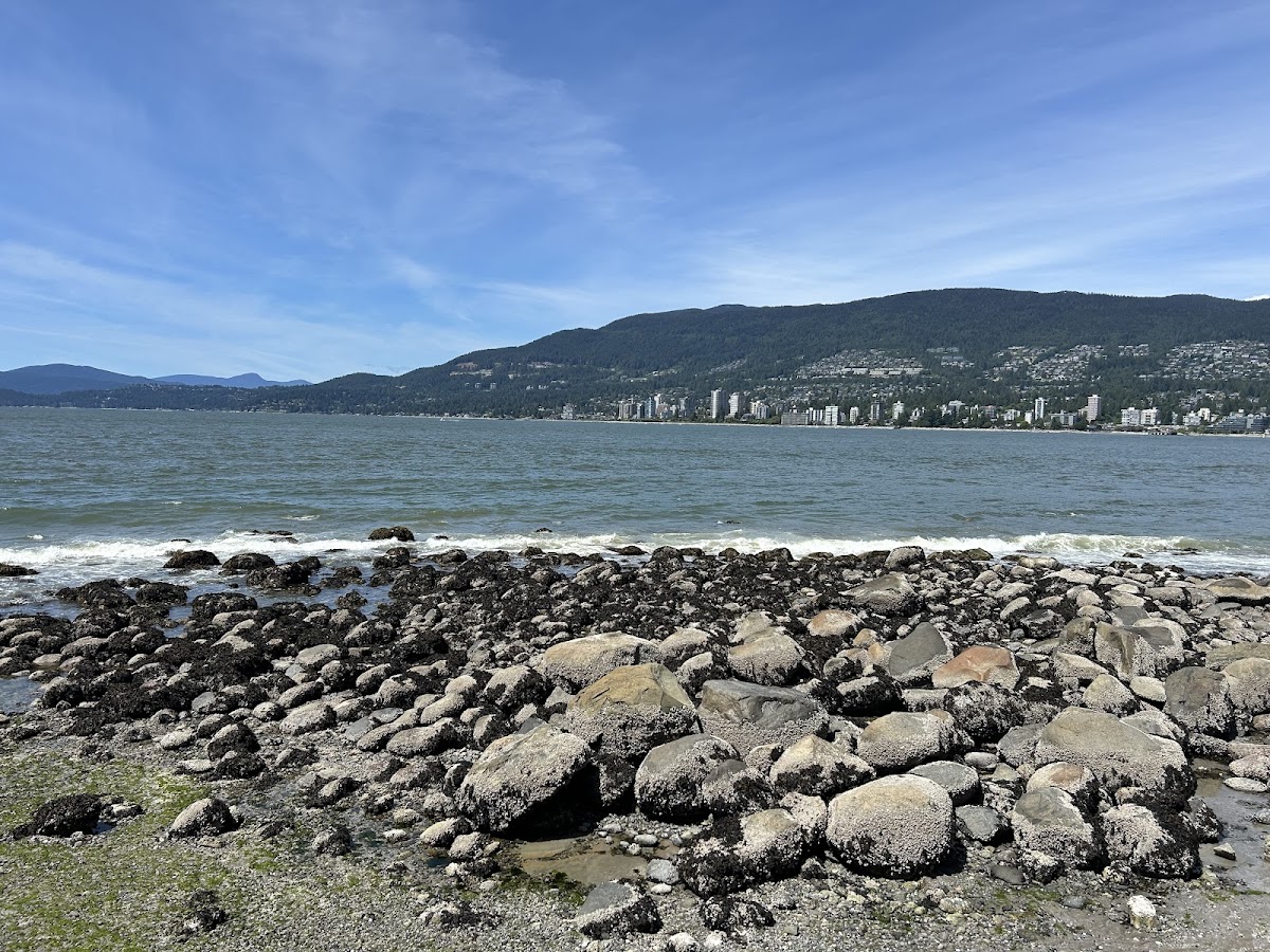 Stanley Park Seawall — photo 6