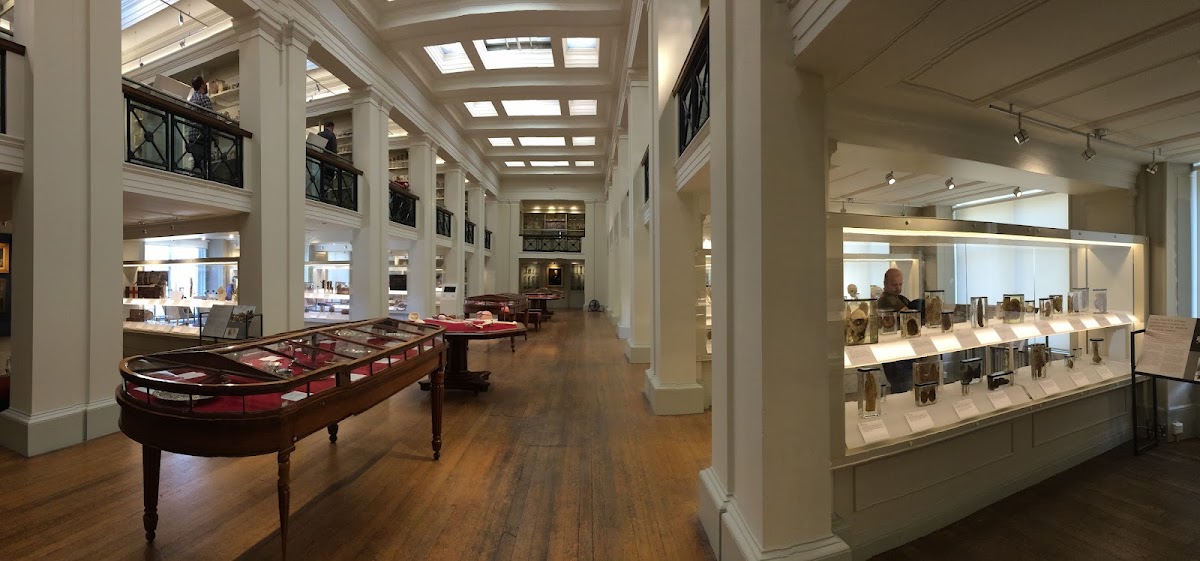 Surgeons' Hall Museums, Edinburgh