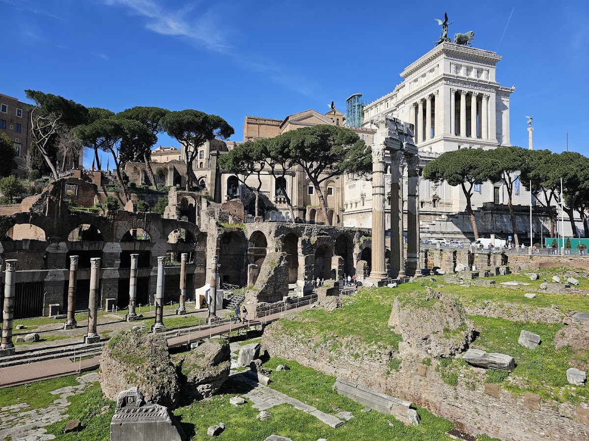 The Colosseum & Roman Forum — photo 2