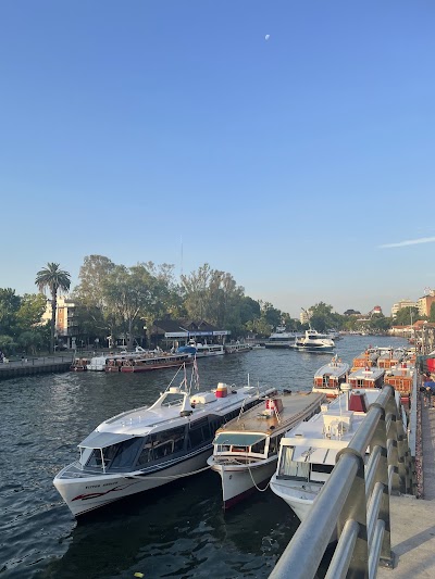 Tigre Delta
