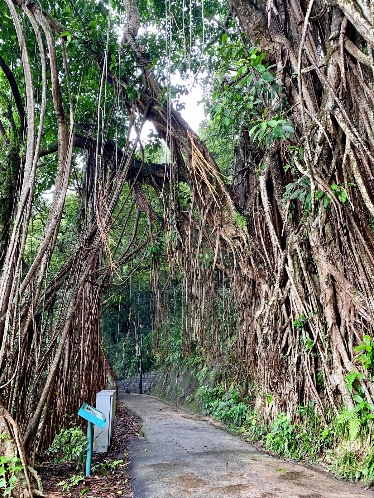 Victoria Peak — photo 2