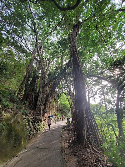 Victoria Peak Loop Walk