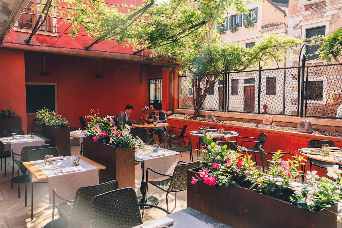 Wistaria, Venice
