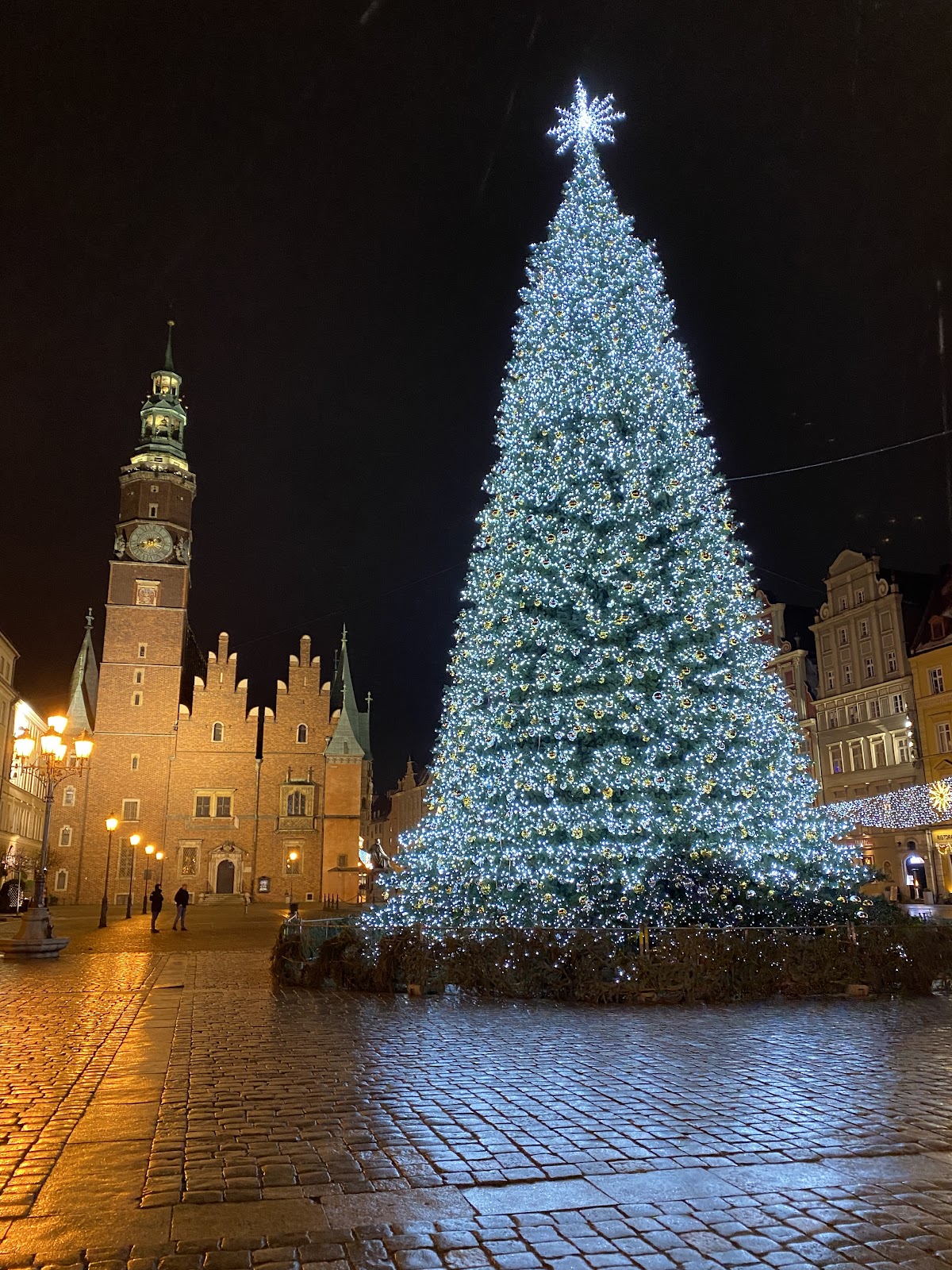 Wrocław Town Hall — photo 3