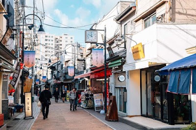 Yanaka Neighborhood Walk