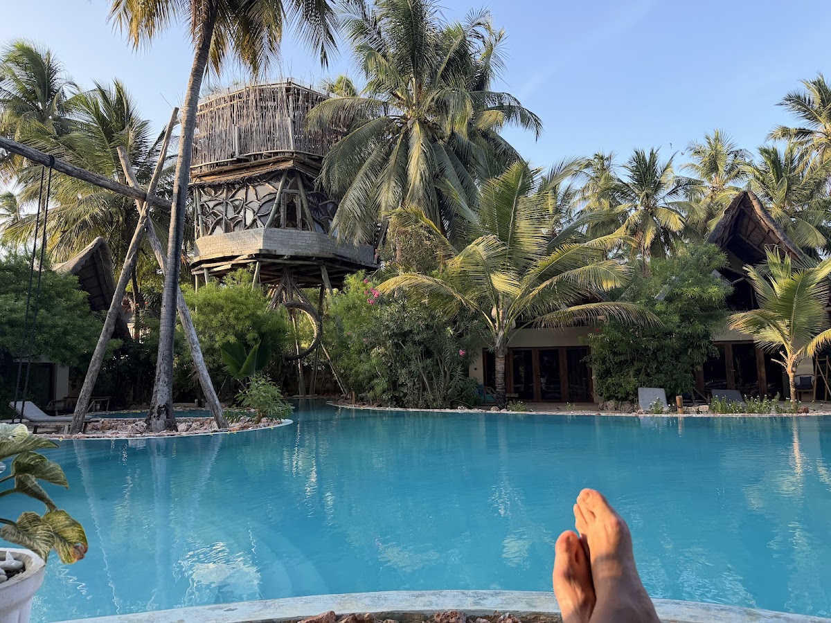 Your Zanzibar Place, Zanzibar